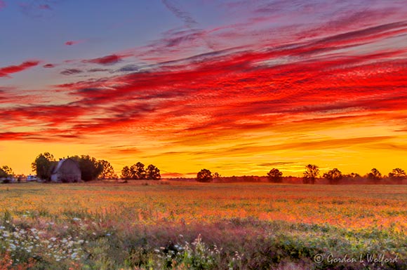 Sunrise Clouds Beyond Golden Field 90D82313-7