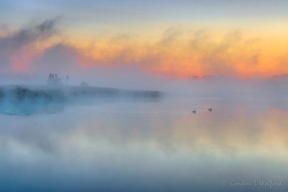 Two Geese In Misty Otter Creek At Sunrise 90D84764-8