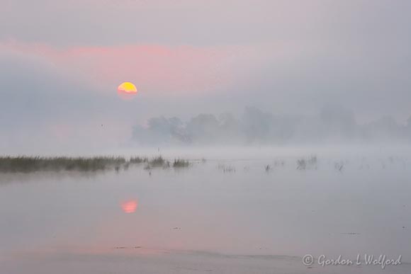 Foggy Sunrise 90D86452