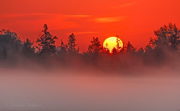 Sunrise Beyond Ground Fog 90D87527-31