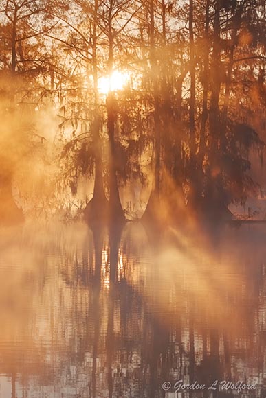 Misty Lake Martin Sunrise 25830