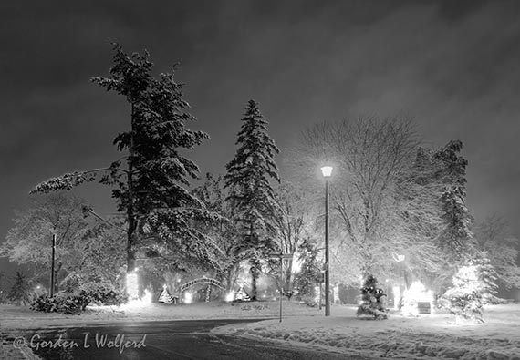 2023-4 Celebration of Lights 90D95889BW