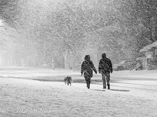Walkers At Night In A Spring Snowstorm 90D107300