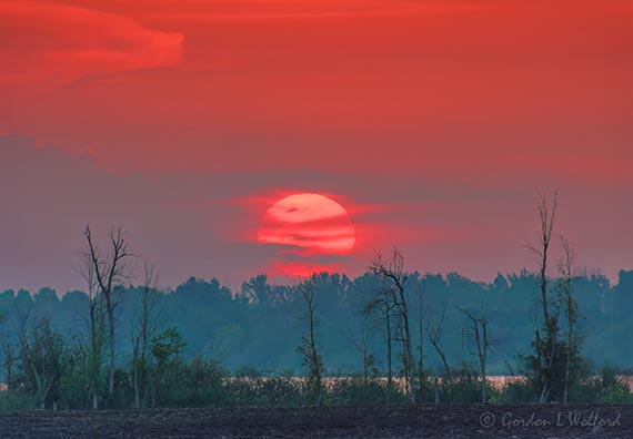 Clouded Sunrise Beyond Distant Rideau Canal 90D111984