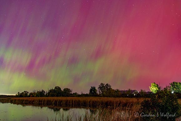 20241010 Aurora Beyond Rideau River 90D130827