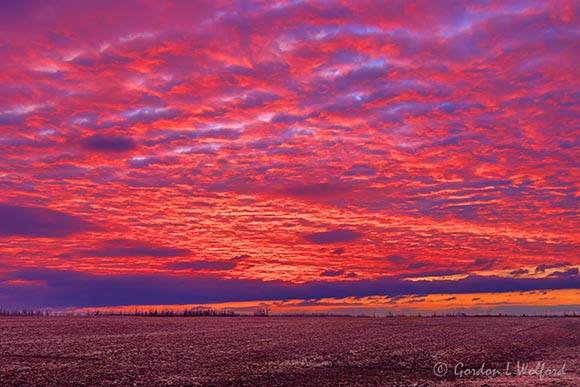 Red Sky Sunrise 90D132622