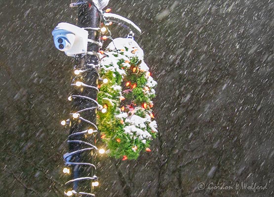 Holiday Wreath In Snowstorm 90D134271-4