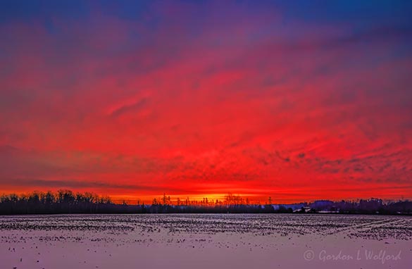Sunrise Beyond Winter Field 90D138964