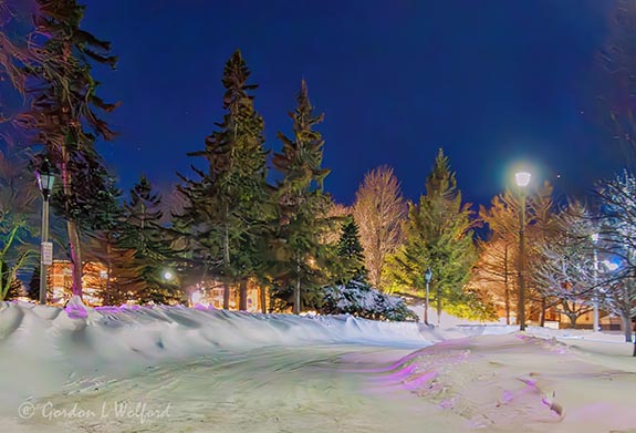 Confederation Drive Snowbanks At Night 90D141798