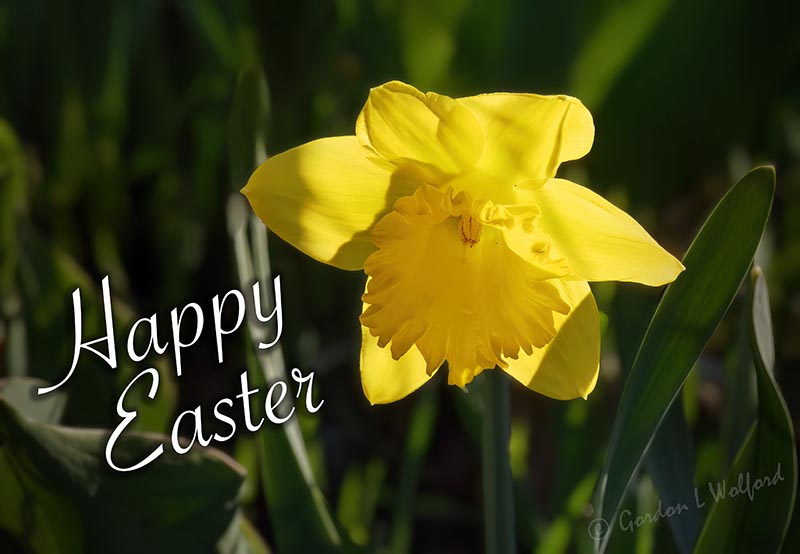 Happy Easter DSCN022063