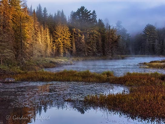 Algonquin Park Marsh at Sunrise PICT5928v2
