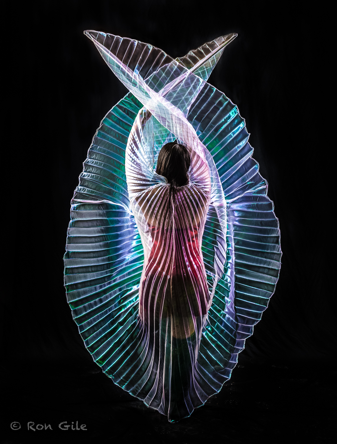 wings_of_isis_3844.jpg