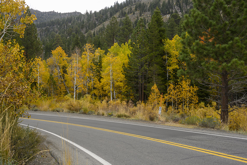 Along the June Lake Loop