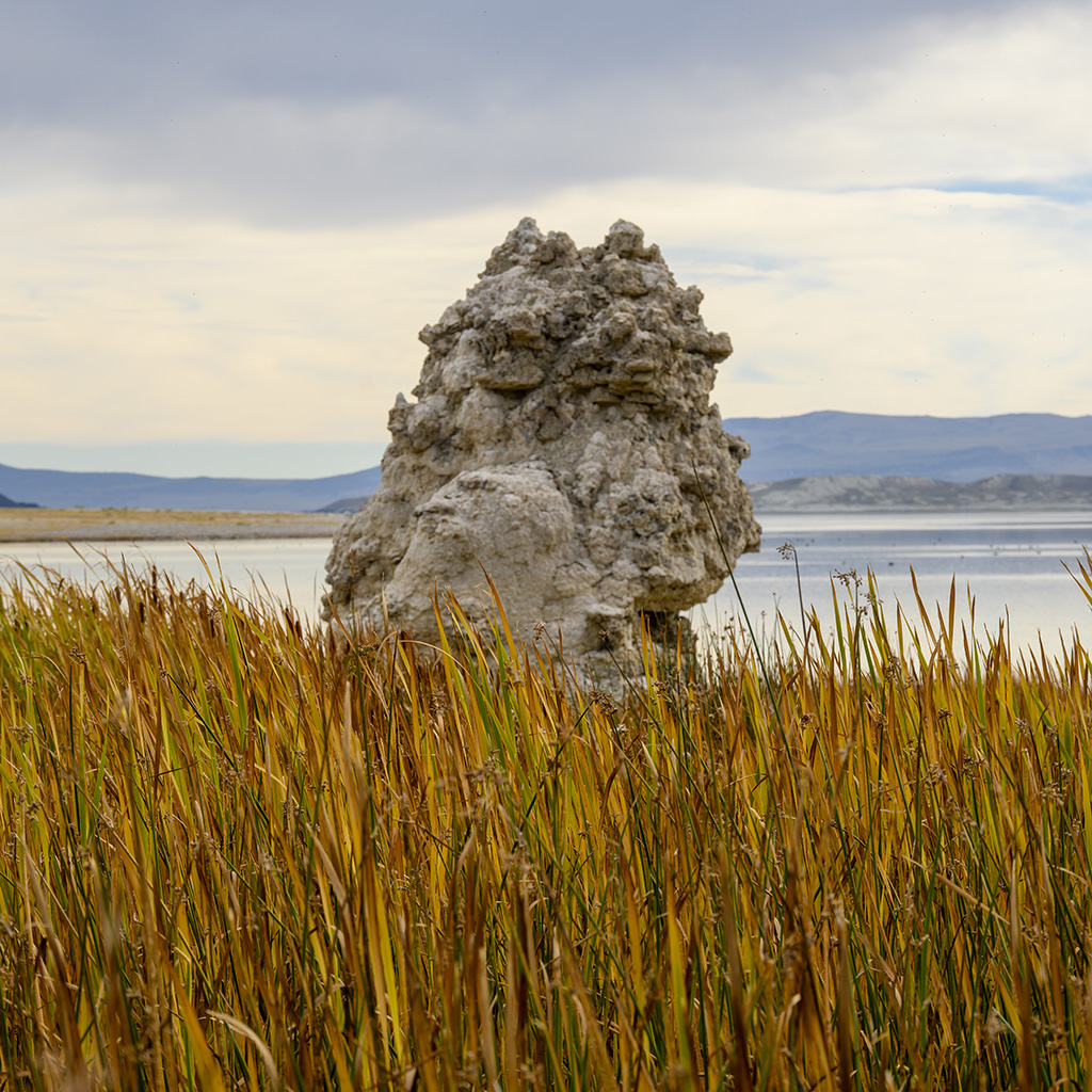 Tufa - Mono Lake State Nature Reserve