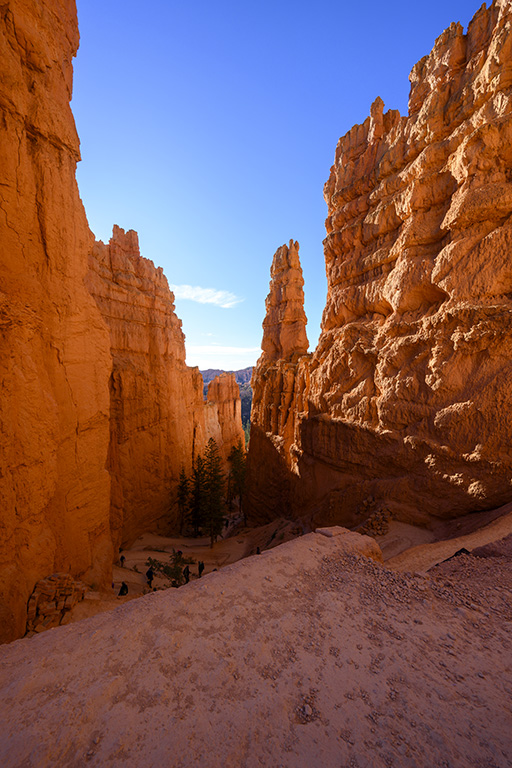 Navajo Loop Trail