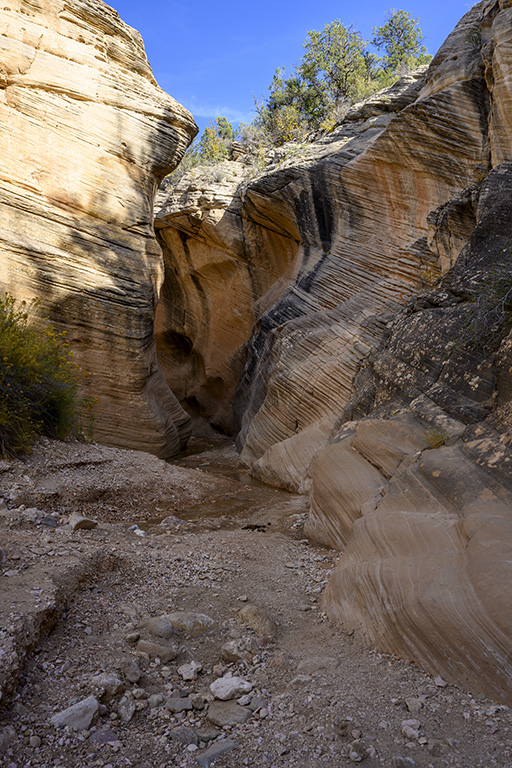 Willis Creek Slot Canyon