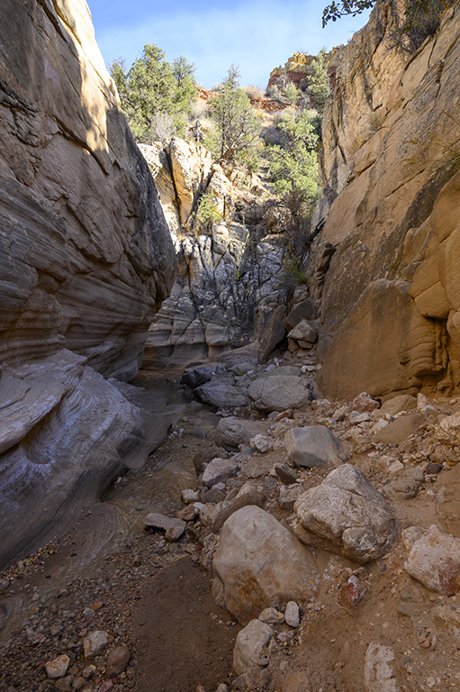 Willis Creek Slot Canyon