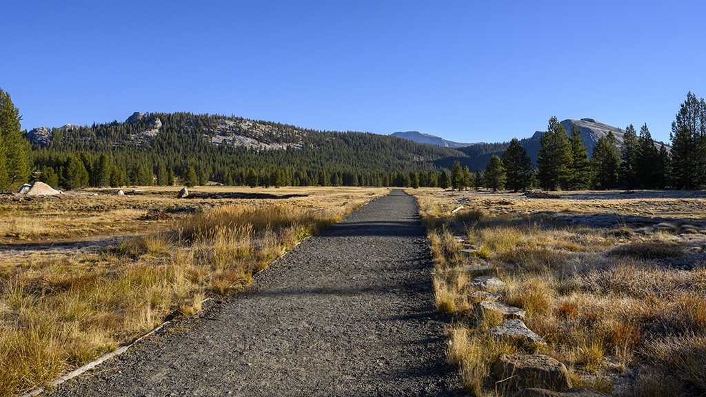 Tuolumne Meadows