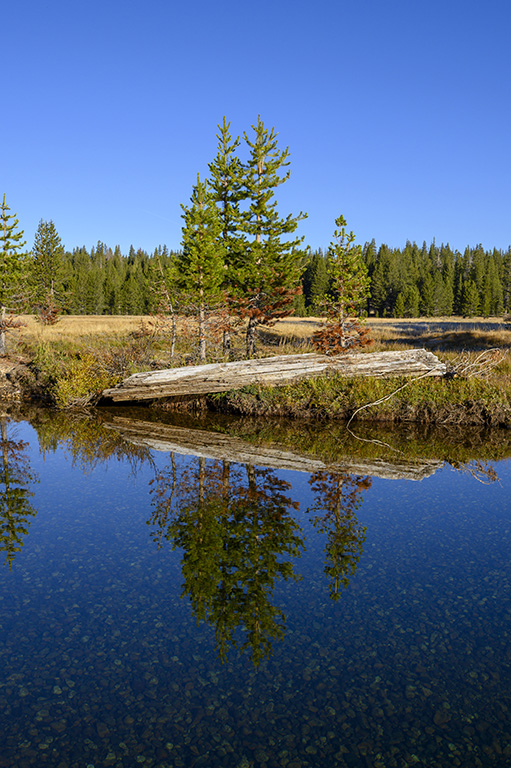 Tuolumne River