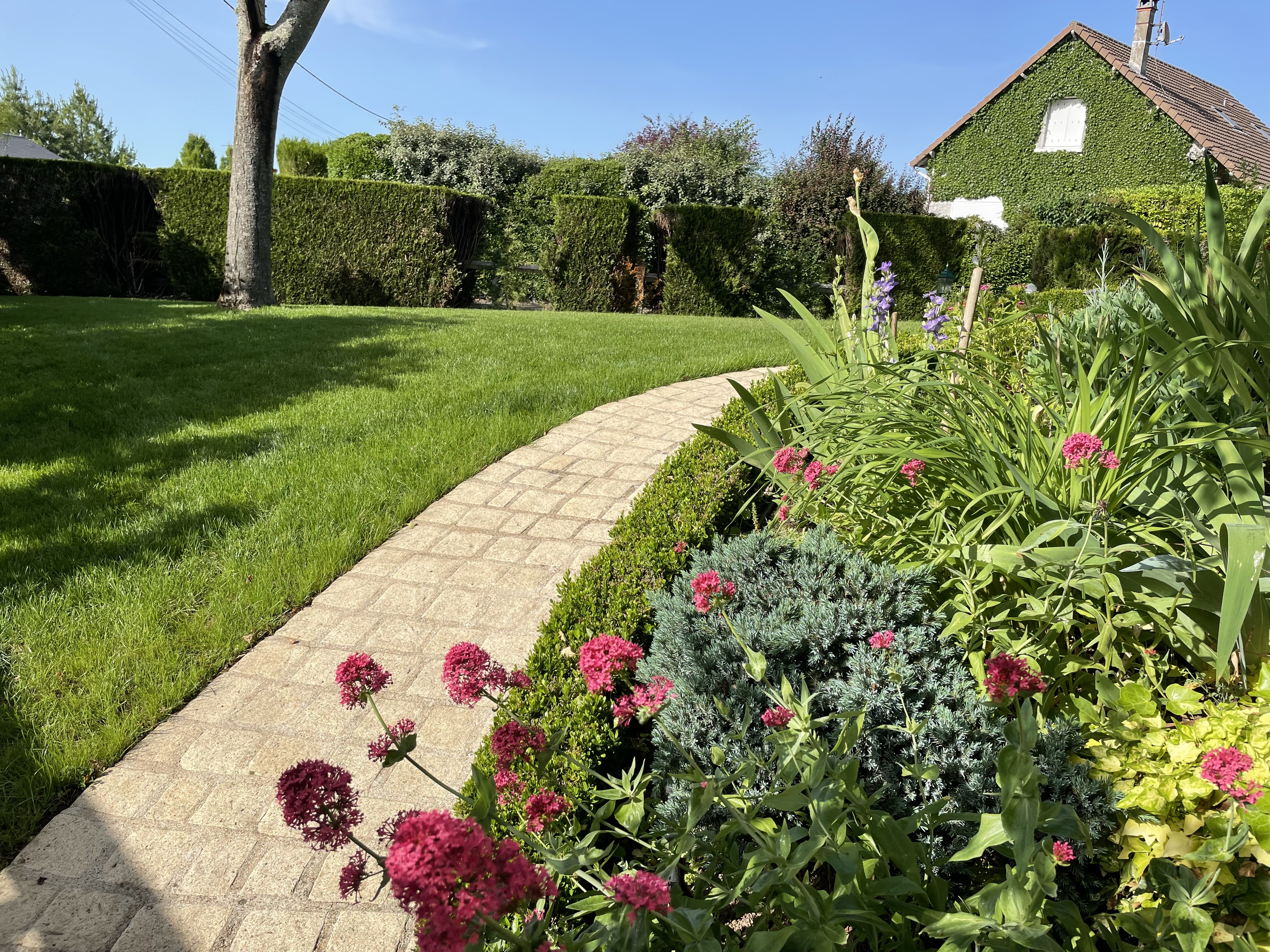Un petit coin de notre jardin 