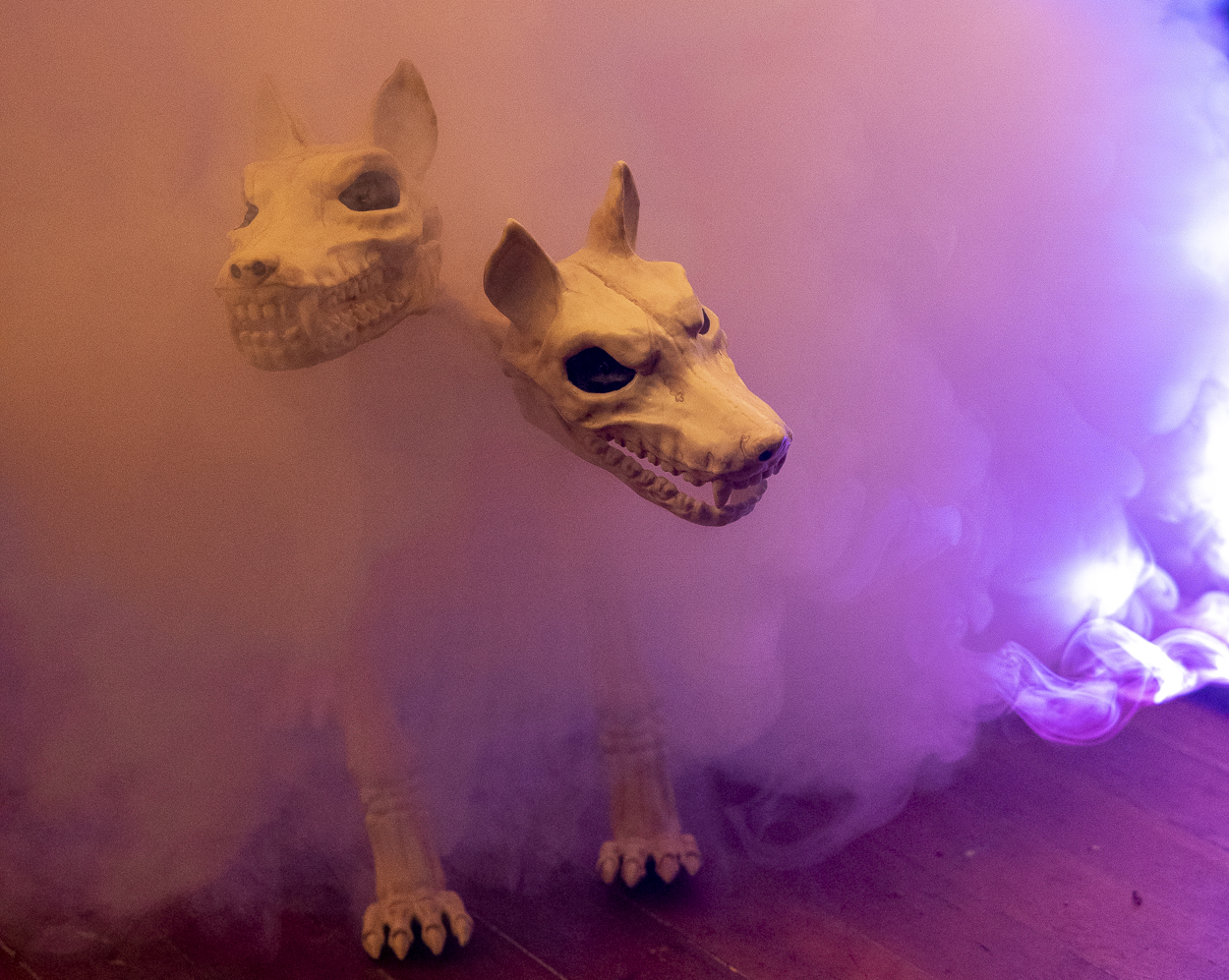 hell hounds