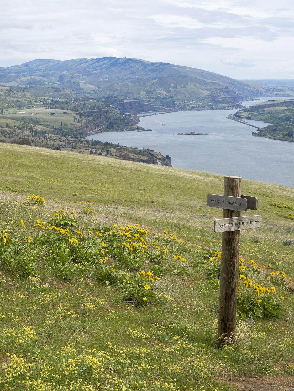 Trail sign