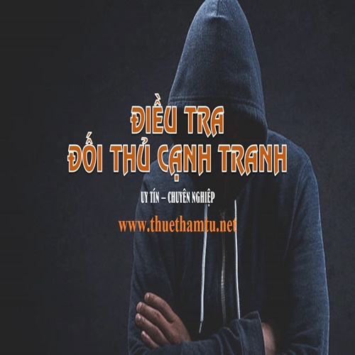 Điều tra đối thủ cạnh tranh trên thị trường.