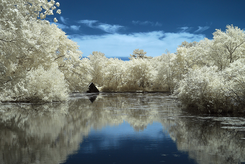 Connetquot Pond in Infrared