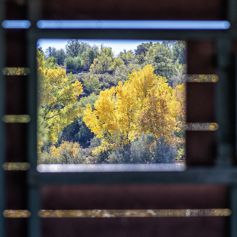 Through the Blind Day 22.jpg