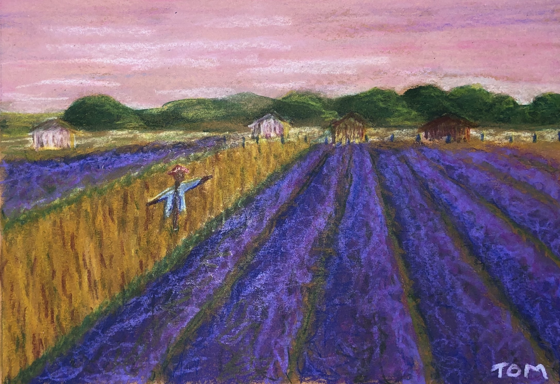 JOCO 2020 - Lavender Fields