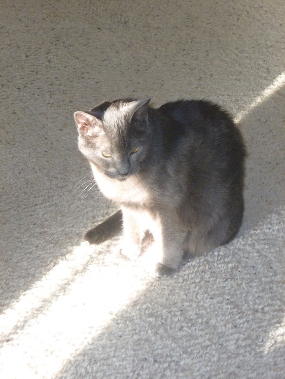 P1020021.JPG