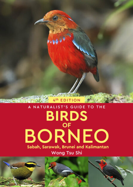 4th Edition Birds of Borneo Cover