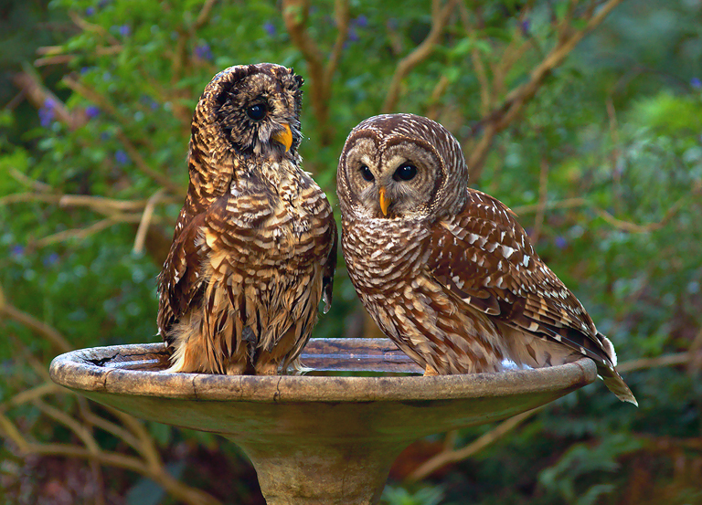 Sharing the moment