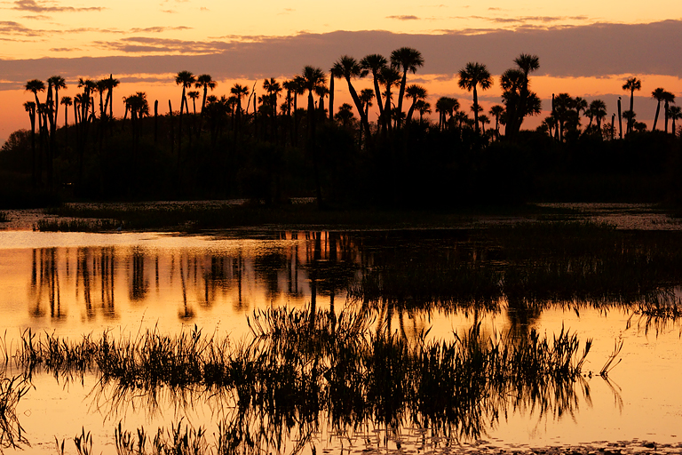 Day breaking at the wetlands