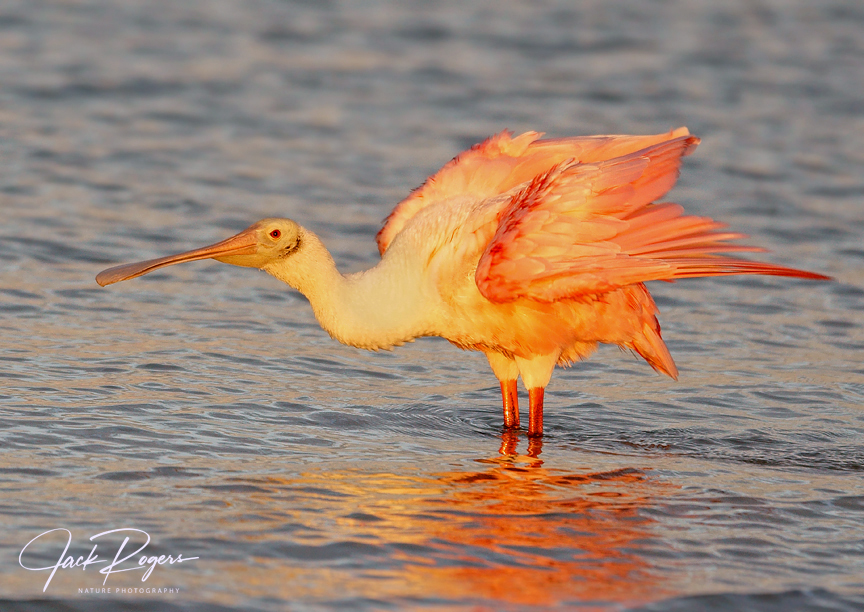 Sunrise stretch!