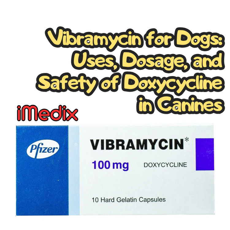 Vibramycin for Dogs: Uses, Dosage, and Safety of Doxycycline in Canines - 1