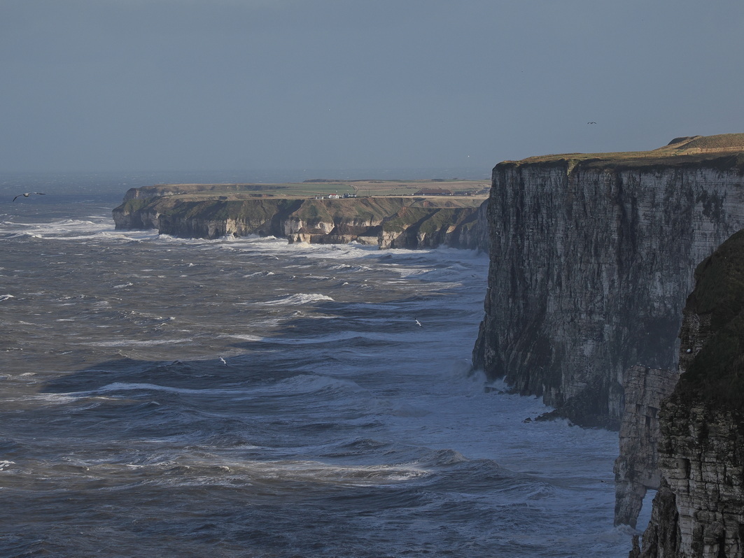 Bempton Cliffs