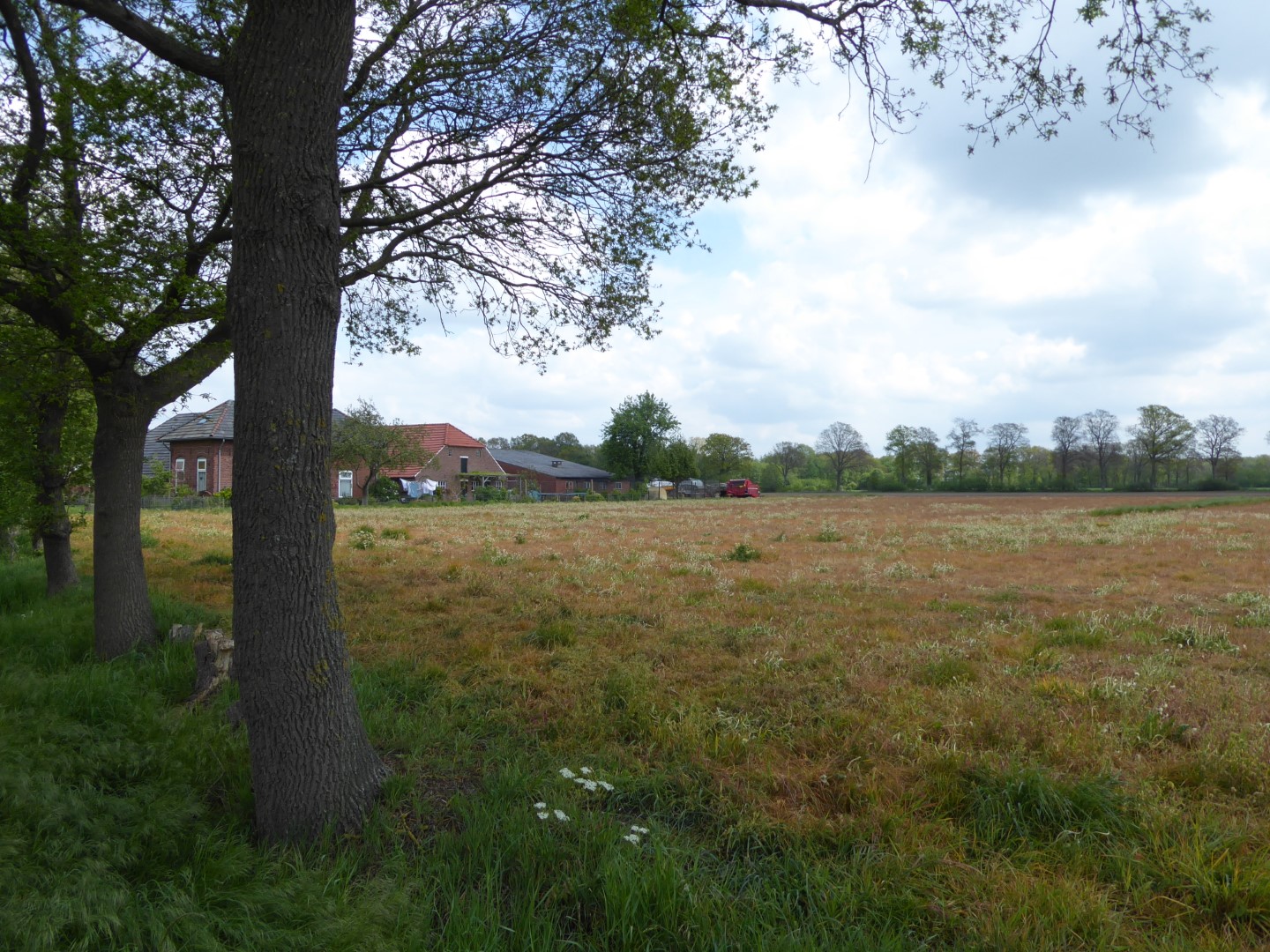 Molenweg