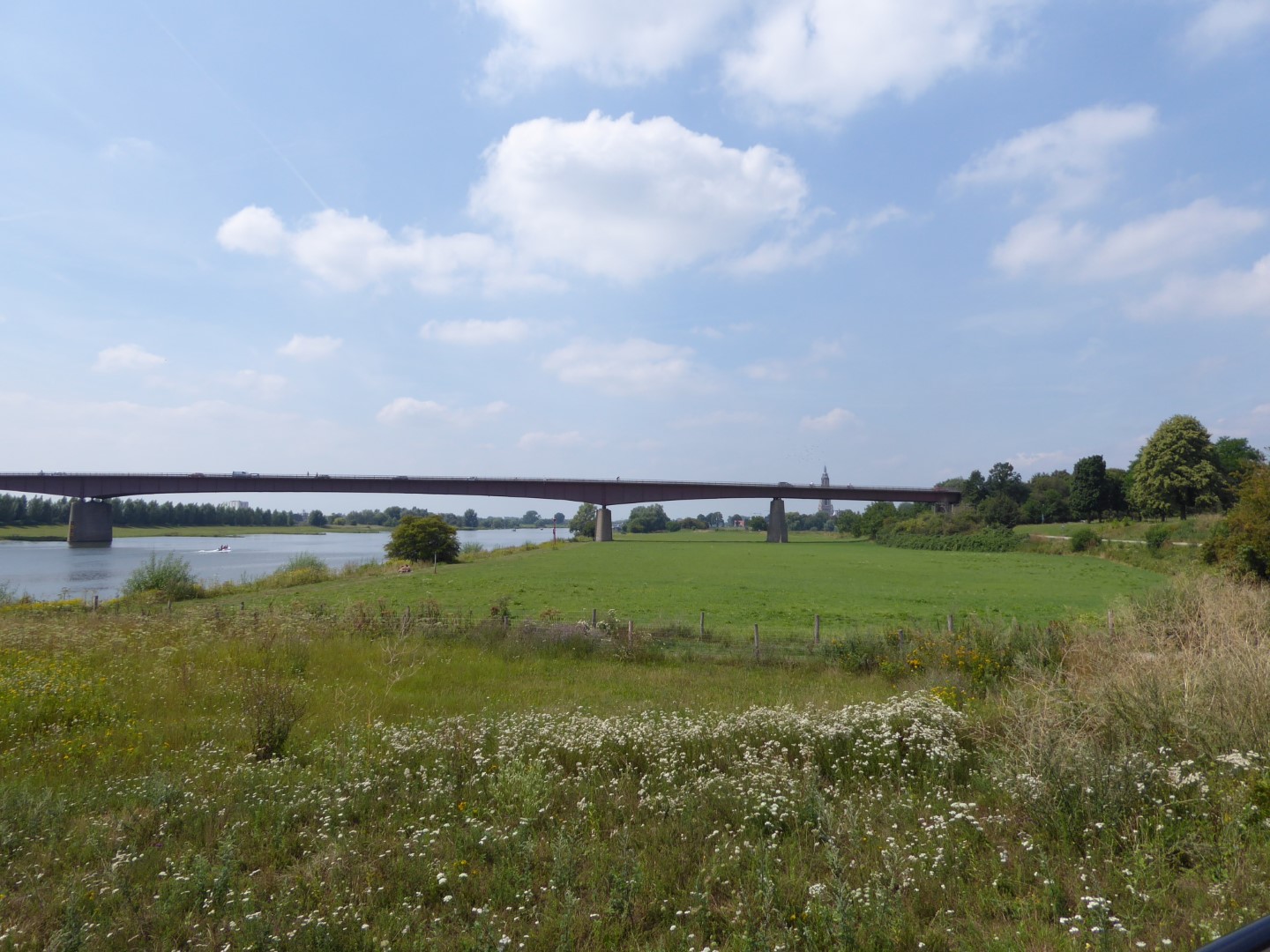 De Nederrijn bij Rhenen
