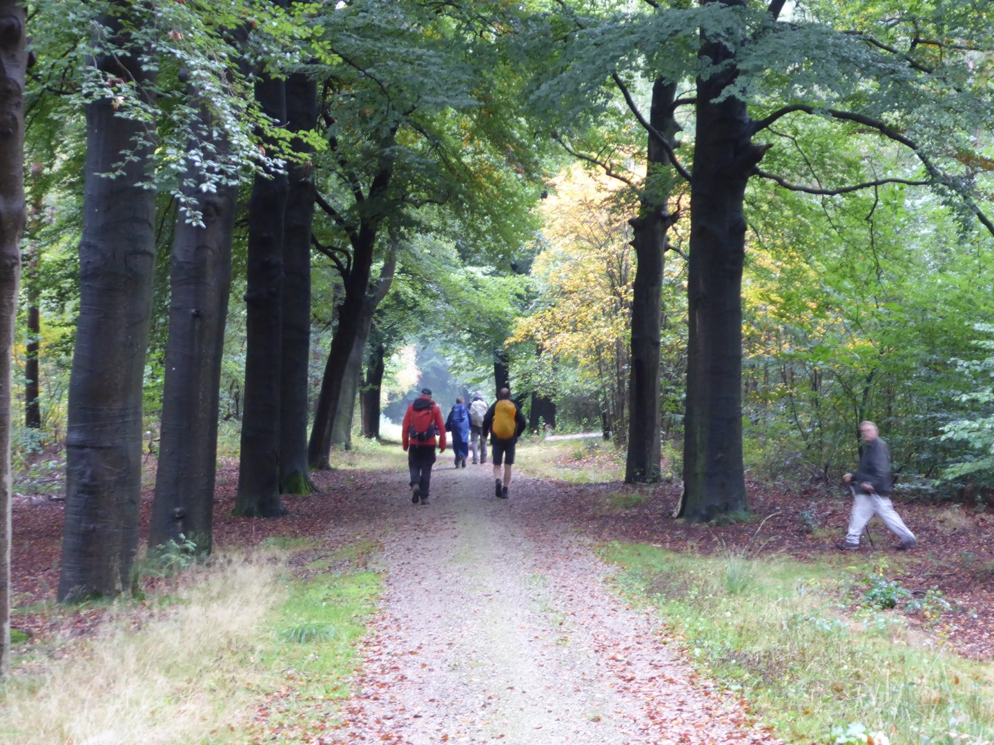 Richting Soesterberg