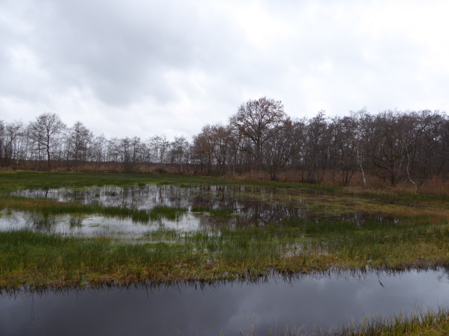 Naardermeer