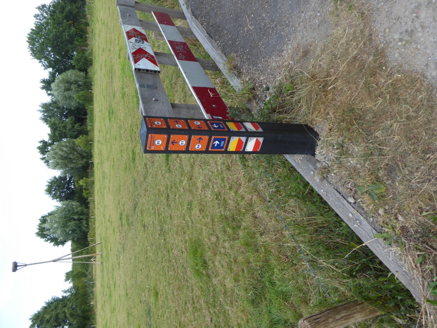 Paal 81