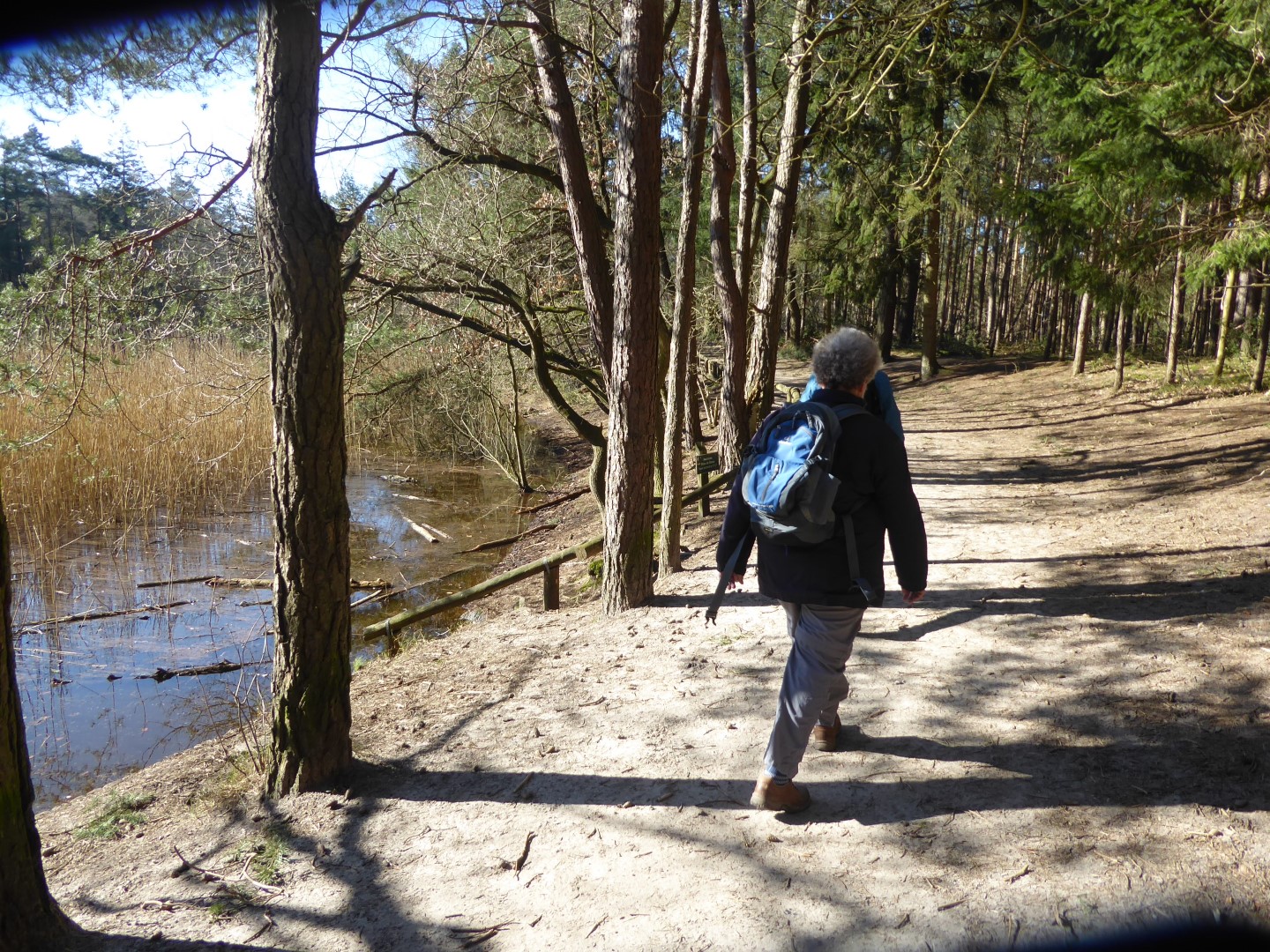 Bosvijver Birkhoven