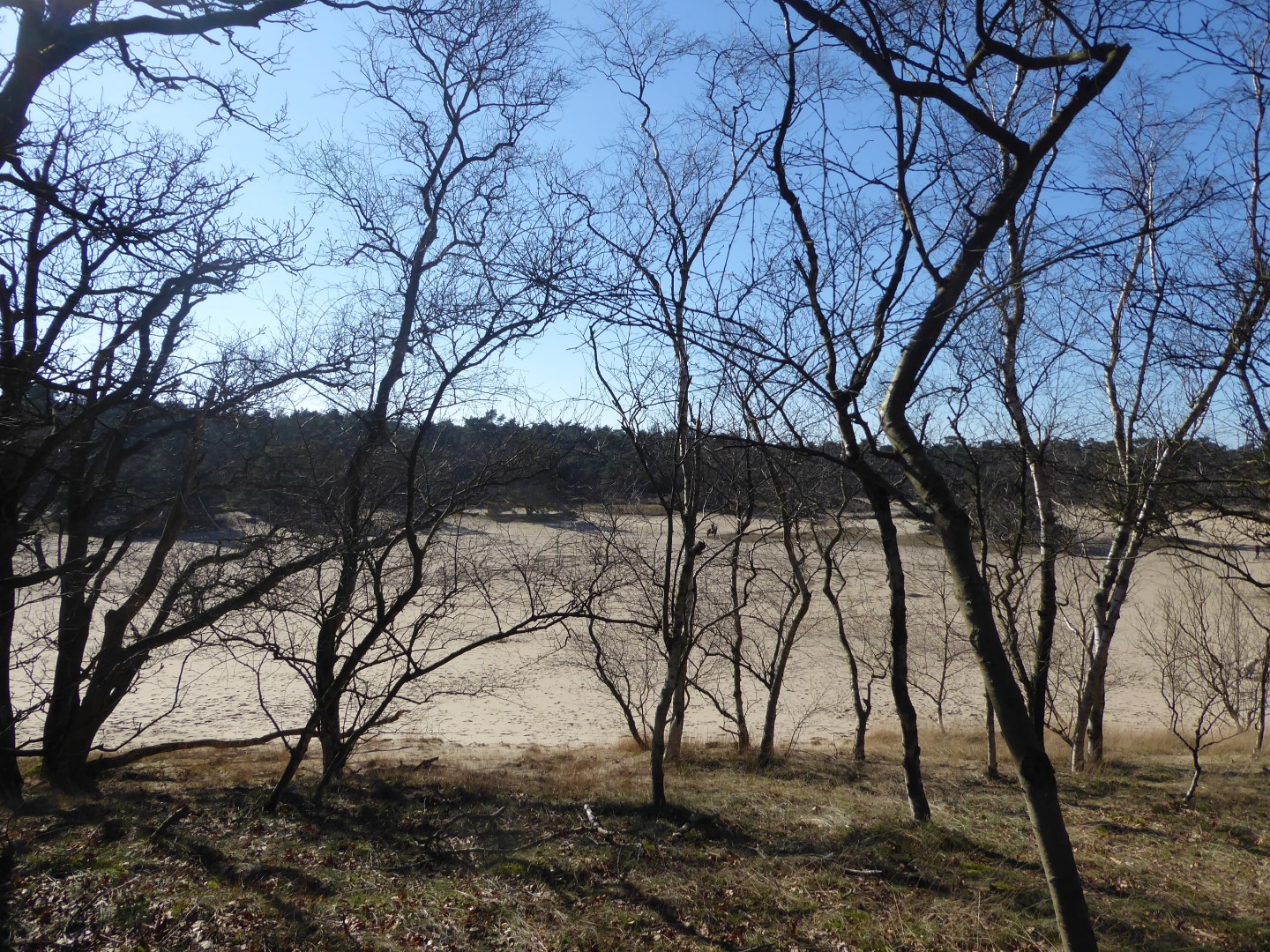 Korte Duinen Soest