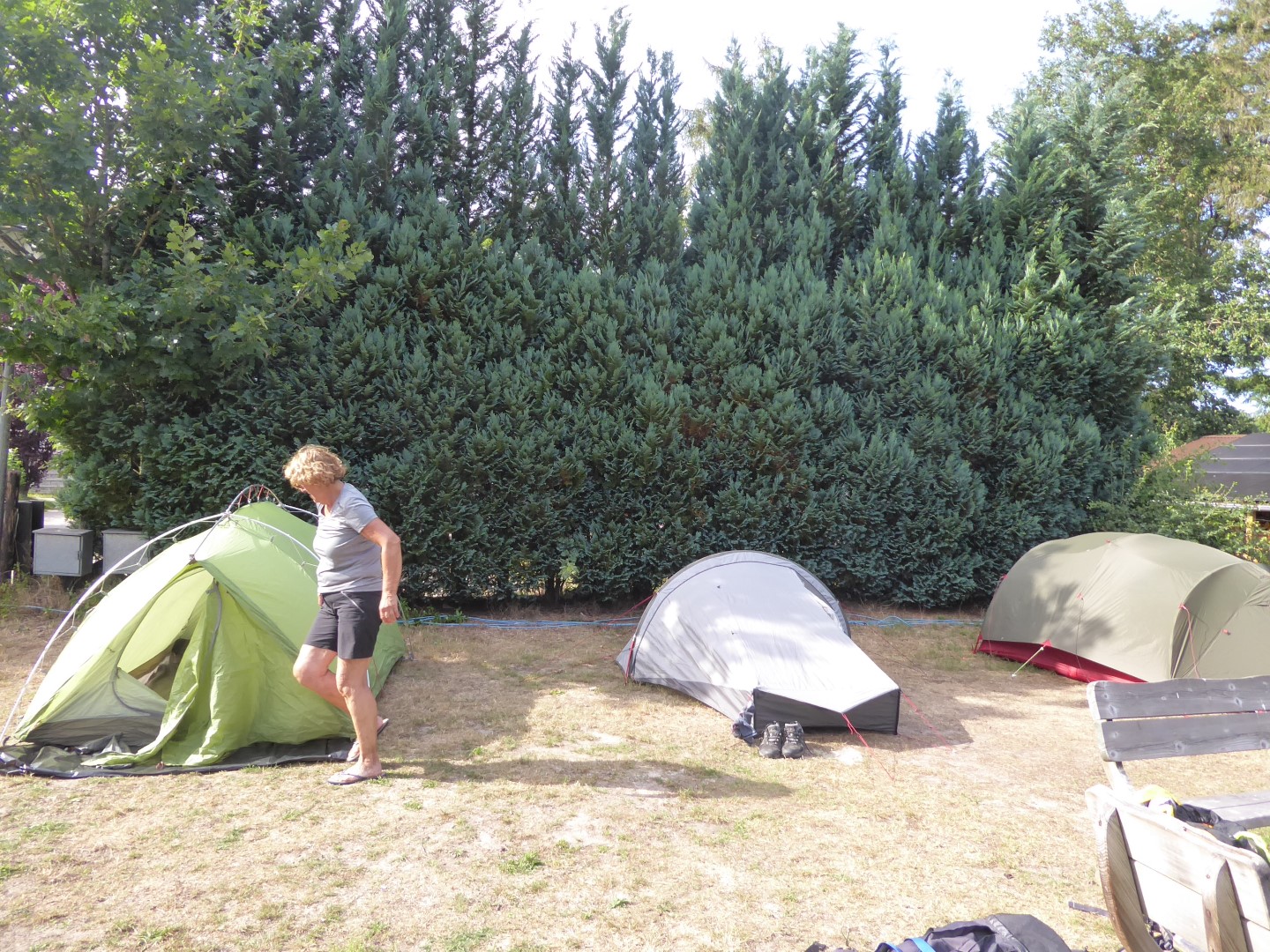 Camping De Groene Valk Zeegse