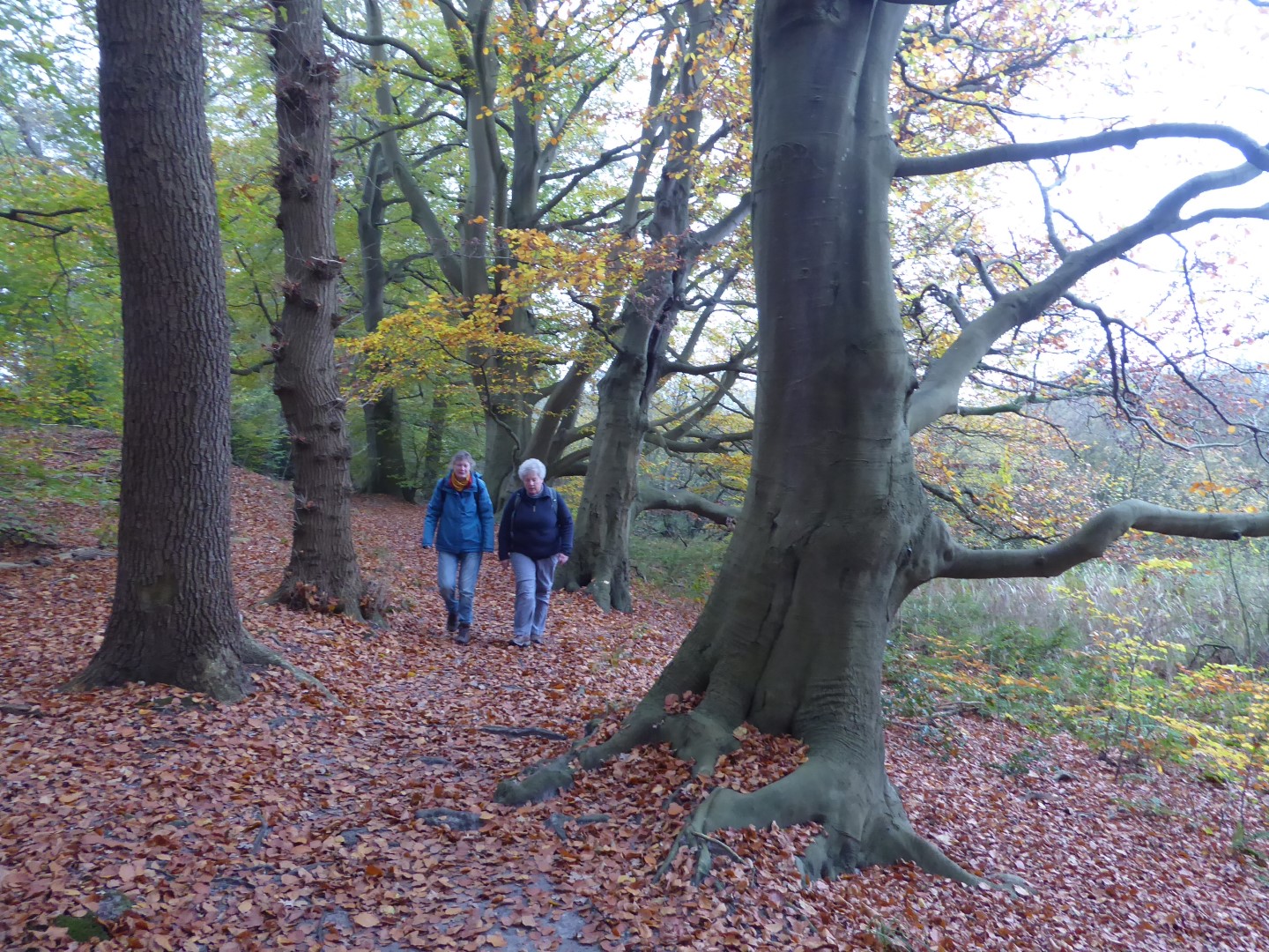 Onderweg