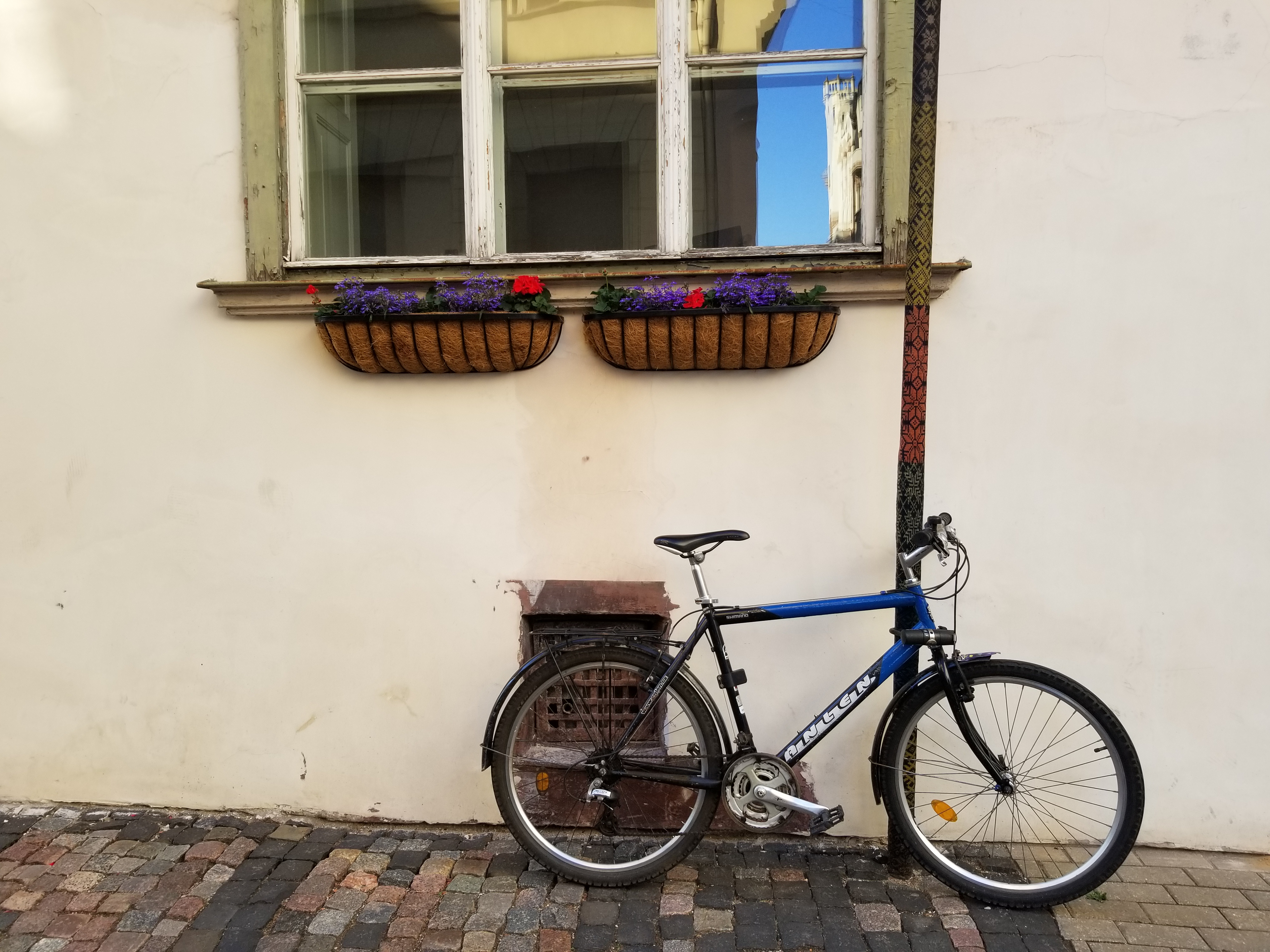 20190617_184337.jpg