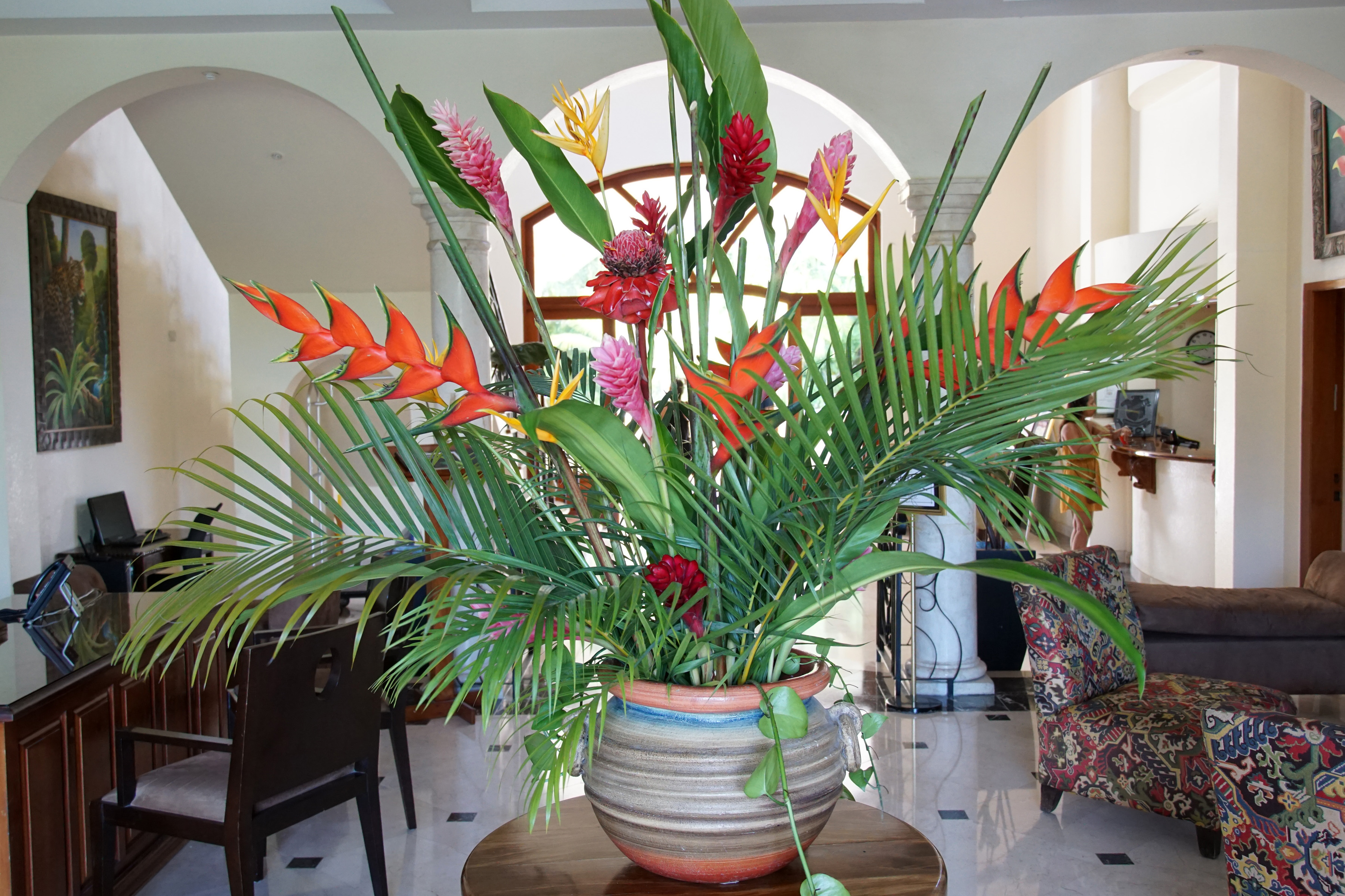 San Ignacio Resort Hotel,  the Green Iguana project host