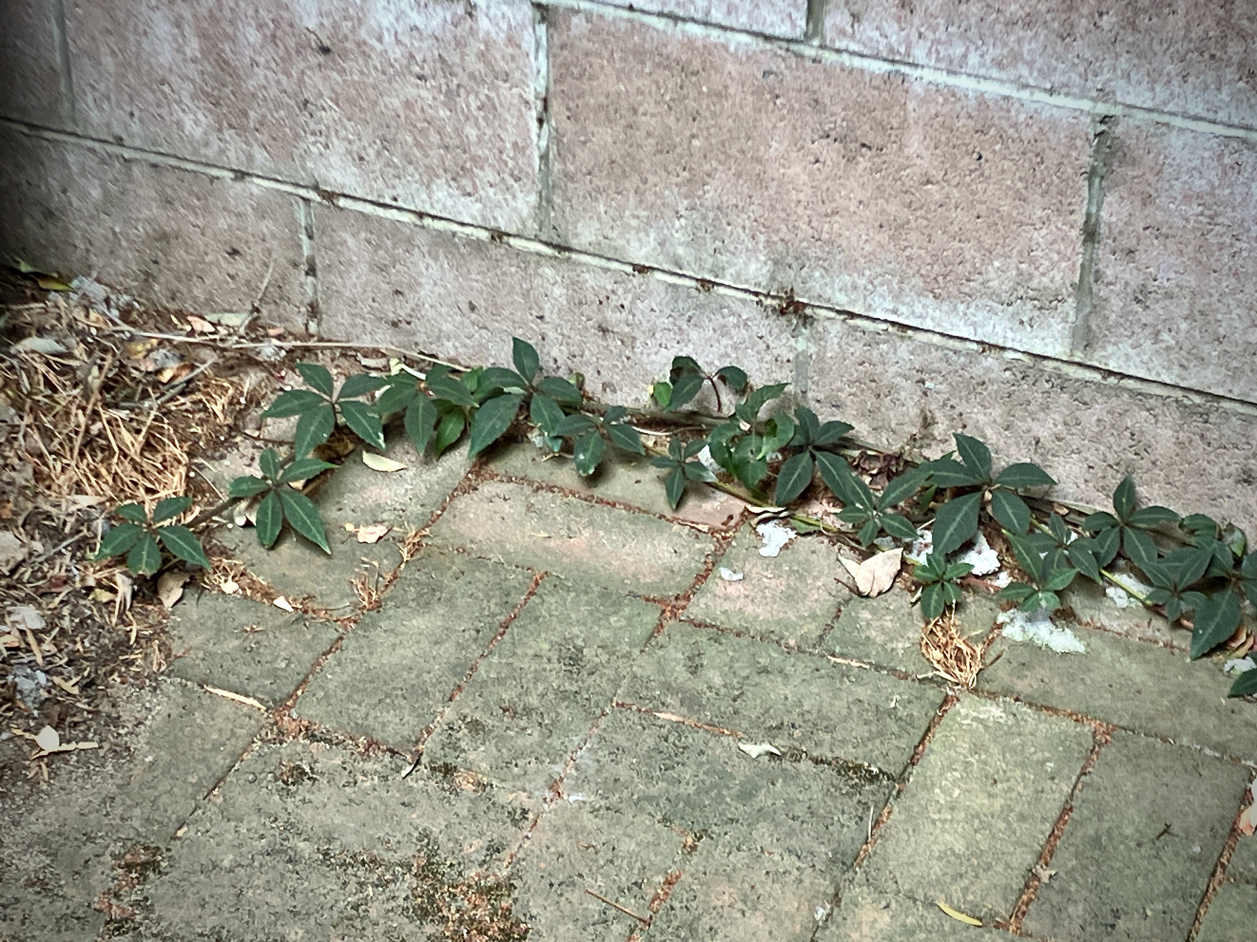 Turning a Corner