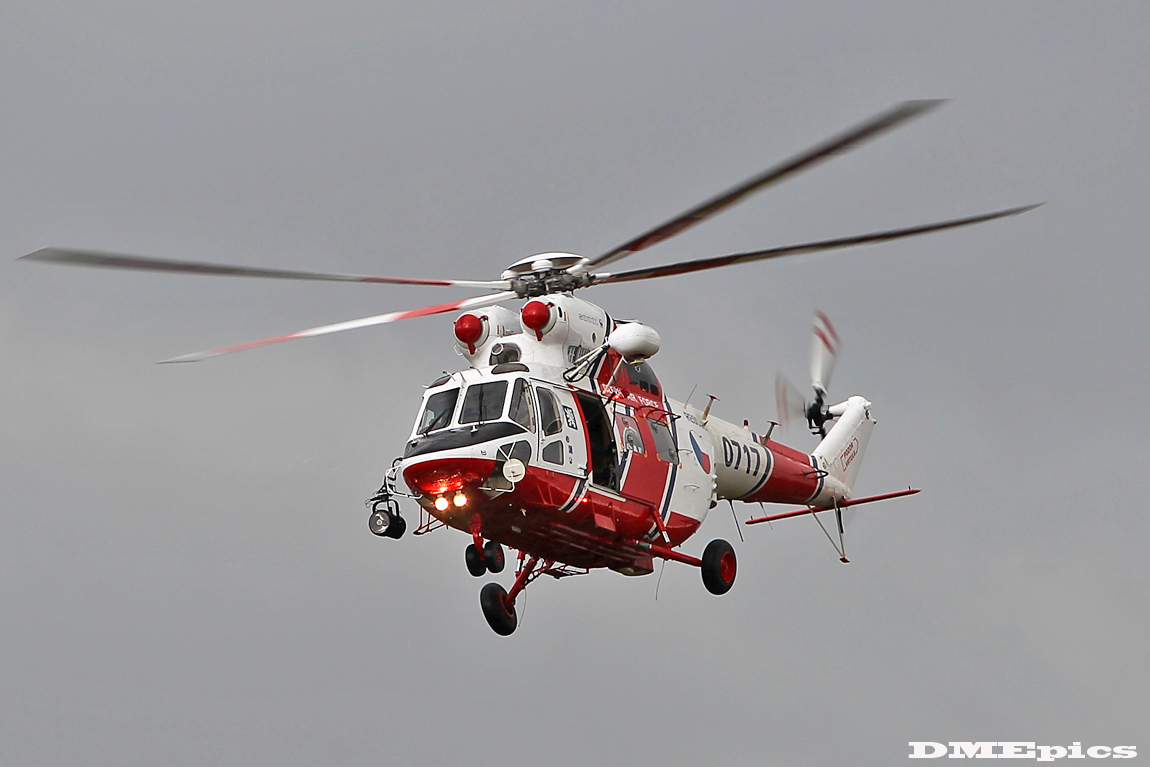 k9991.jpg